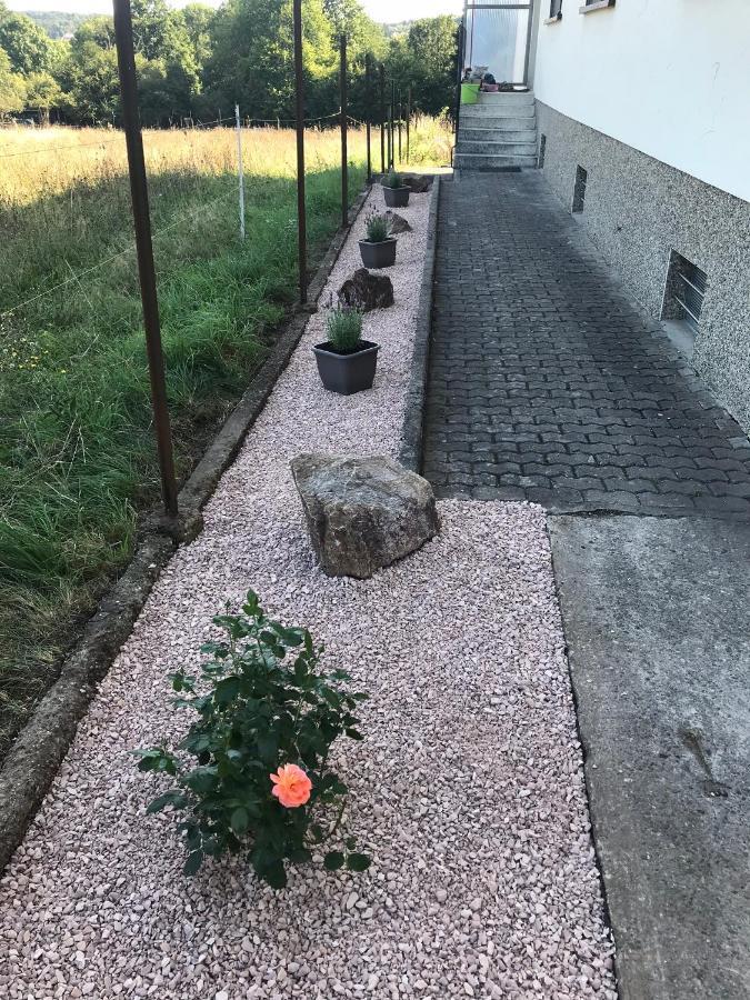 Ferienwohnung Sunny - Moderne Ferienwohnung Im Gruenen In Saarbruecken-West Esterno foto